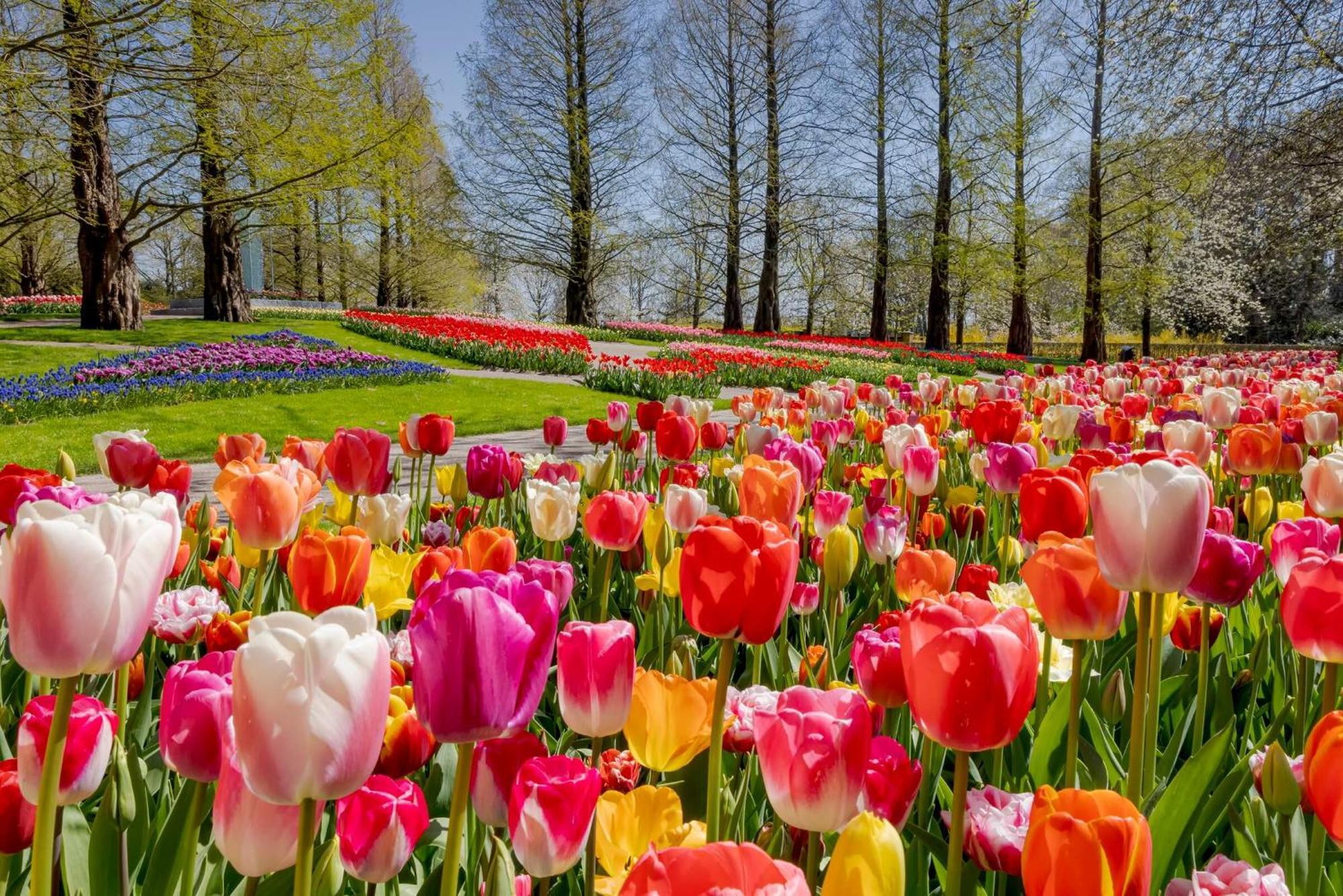 Heerehuys Lisse Villa Exteriör bild
