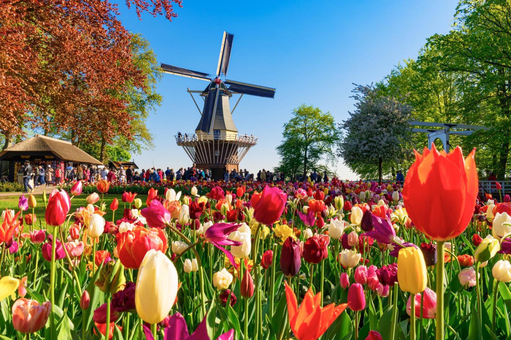 Heerehuys Lisse Villa Exteriör bild